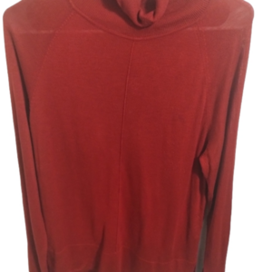 Red Long Sleeve Turtleneck Zara Shirt